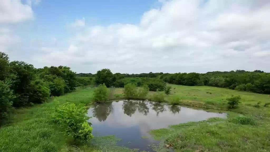 TBD TOLOSA RD, KEMP, TX 75143, photo 1 of 8