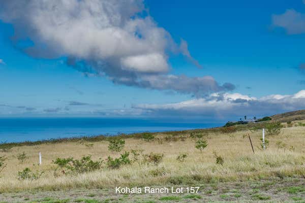 59-1009 KOHALA RANCH RD, KAMUELA, HI 96743 - Image 1