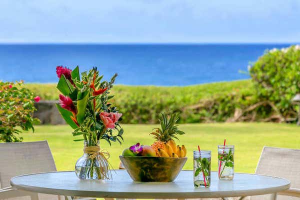 2640 PUUHOLO RD # 111, KOLOA, HI 96756 - Image 1