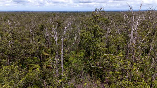 KILINAHE RD, VOLCANO, HI 96785, VOLCANO, HI 96785, photo 5 of 10