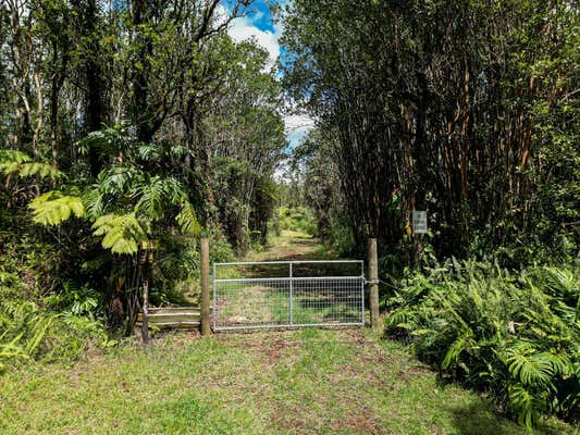 KOKOKAHI RD, VOLCANO, HI 96785, VOLCANO, HI 96785, photo 4 of 15