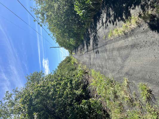 HOLOWAI ST, NAALEHU, HI 96772, NAALEHU, HI 96772 - Image 1