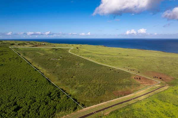 LINCOLN AVE, HAWI, HI 96719, HAWI, HI 96719 - Image 1