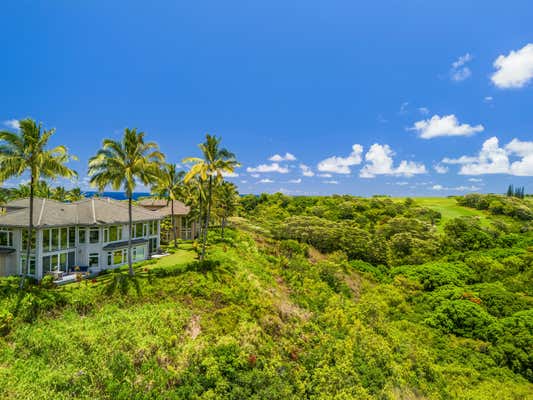 4100 QUEEN EMMAS DR APT 13, PRINCEVILLE, HI 96722 - Image 1