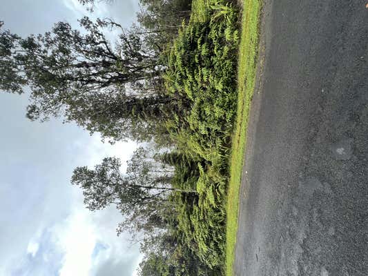 HIBISCUS ST, MOUNTAIN VIEW, HI 96771, MOUNTAIN VIEW, HI 96771, photo 3 of 6