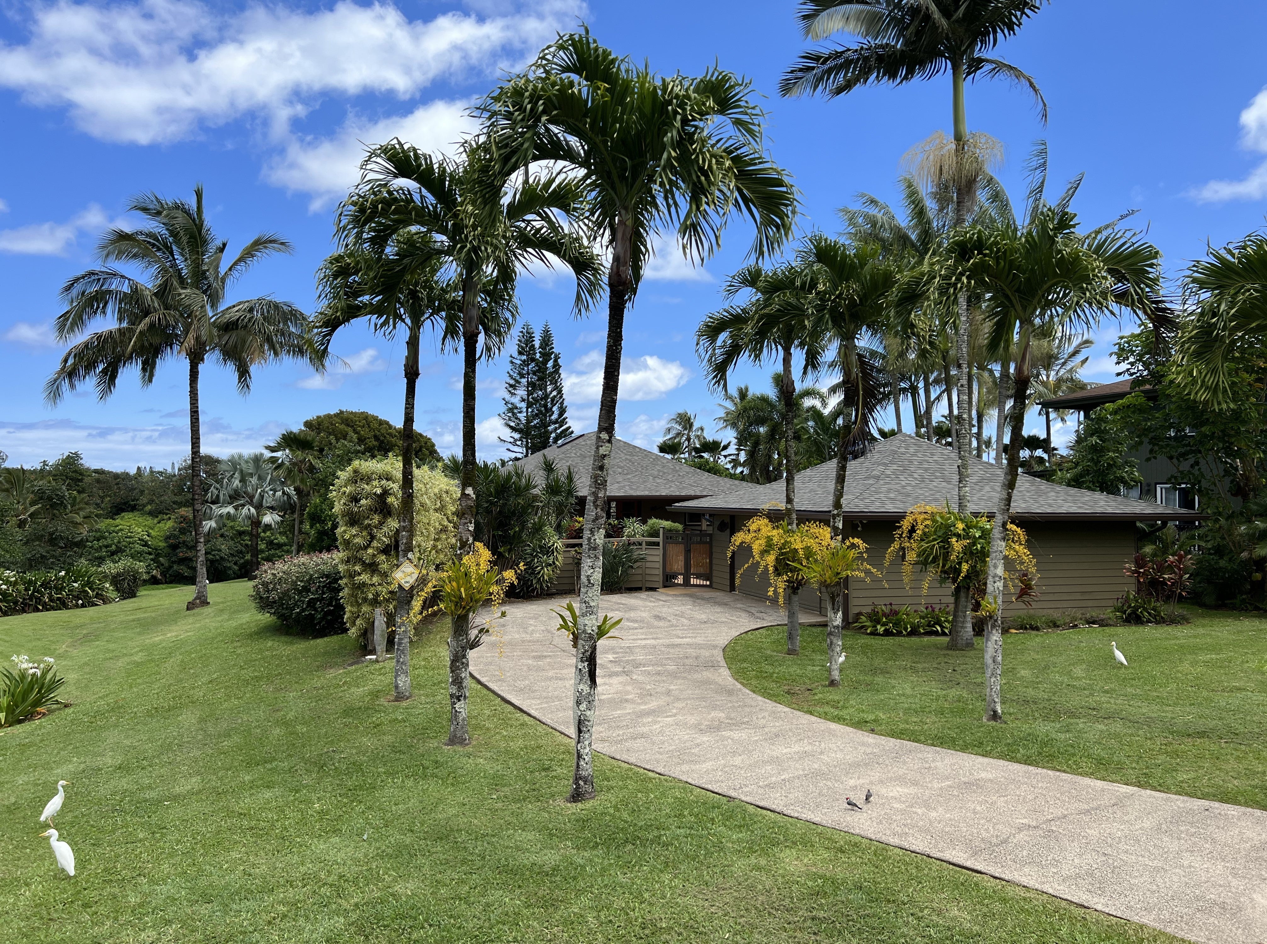 Princeville, Hawaii, 96722, United States, 4 Bedrooms Bedrooms, ,4 BathroomsBathrooms,Residential,Active,1844534