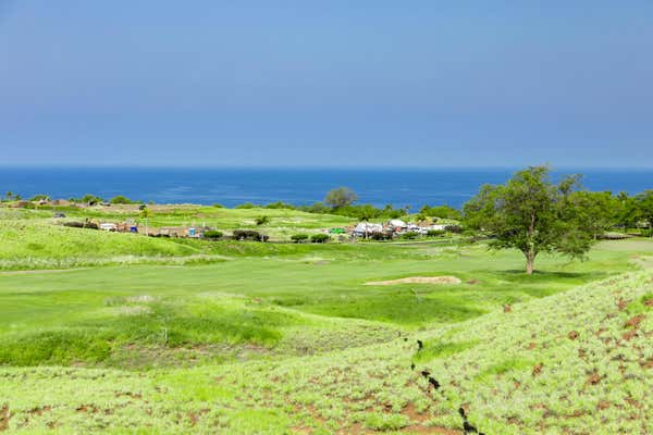 62-5145 HAPUNA PL, KAMUELA, HI 96743 - Image 1