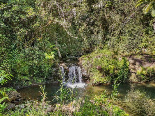 KAIWIKI HOMESTEAD RD, HAKALAU, HI 96710, HAKALAU, HI 96710 - Image 1