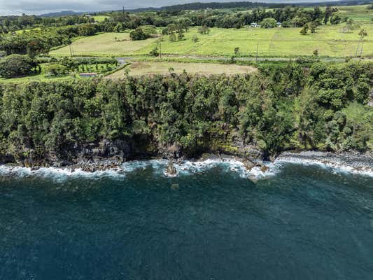 31-474 MAMALAHOA HWY, NINOLE, HI 96773 - Image 1