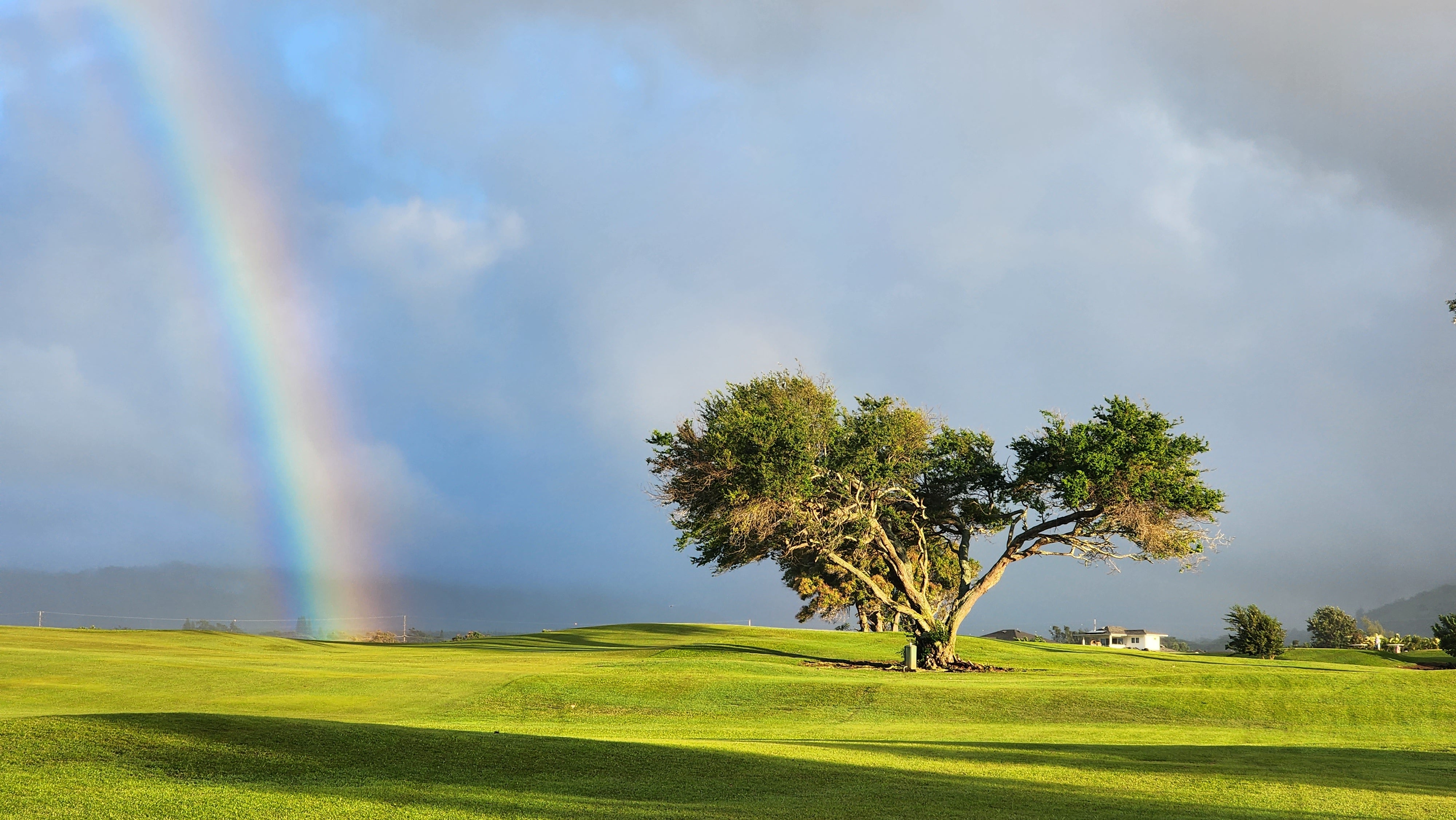 Koloa, Hawaii, 96756, United States, 3 Bedrooms Bedrooms, ,4 BathroomsBathrooms,Residential,Active,1989797