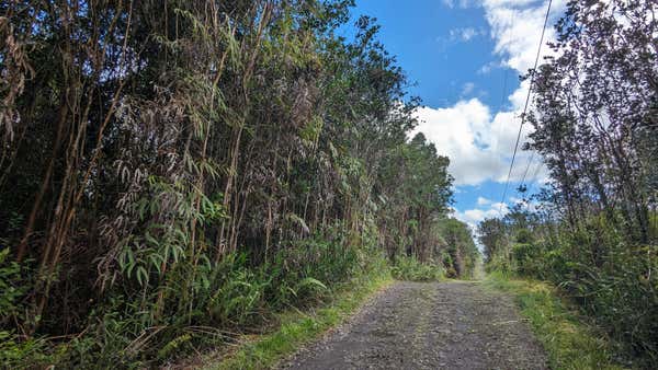 16-1395 ROAD 5 (UAU), MOUNTAIN VIEW, HI 96749 - Image 1