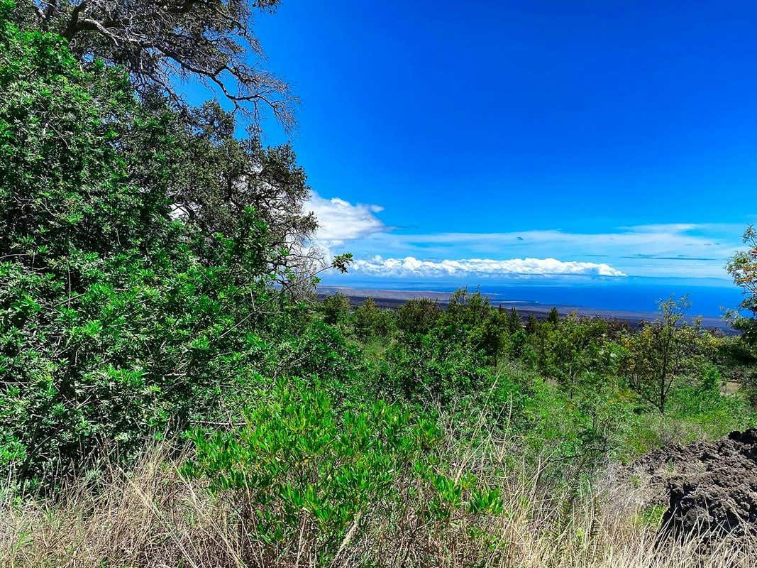 KEAKA PKWY, OCEAN VIEW, HI 96737, OCEAN VIEW, HI 96737, photo 1 of 9