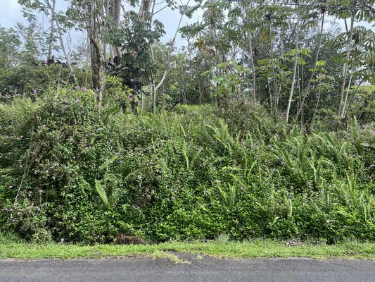 13-942 KAHUKAI ST, PAHOA, HI 96778, photo 2 of 8