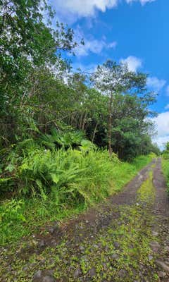 ROAD 9 (KOLOA MAOLI), MOUNTAIN VIEW, HI 96760, MOUNTAIN VIEW, HI 96760 - Image 1