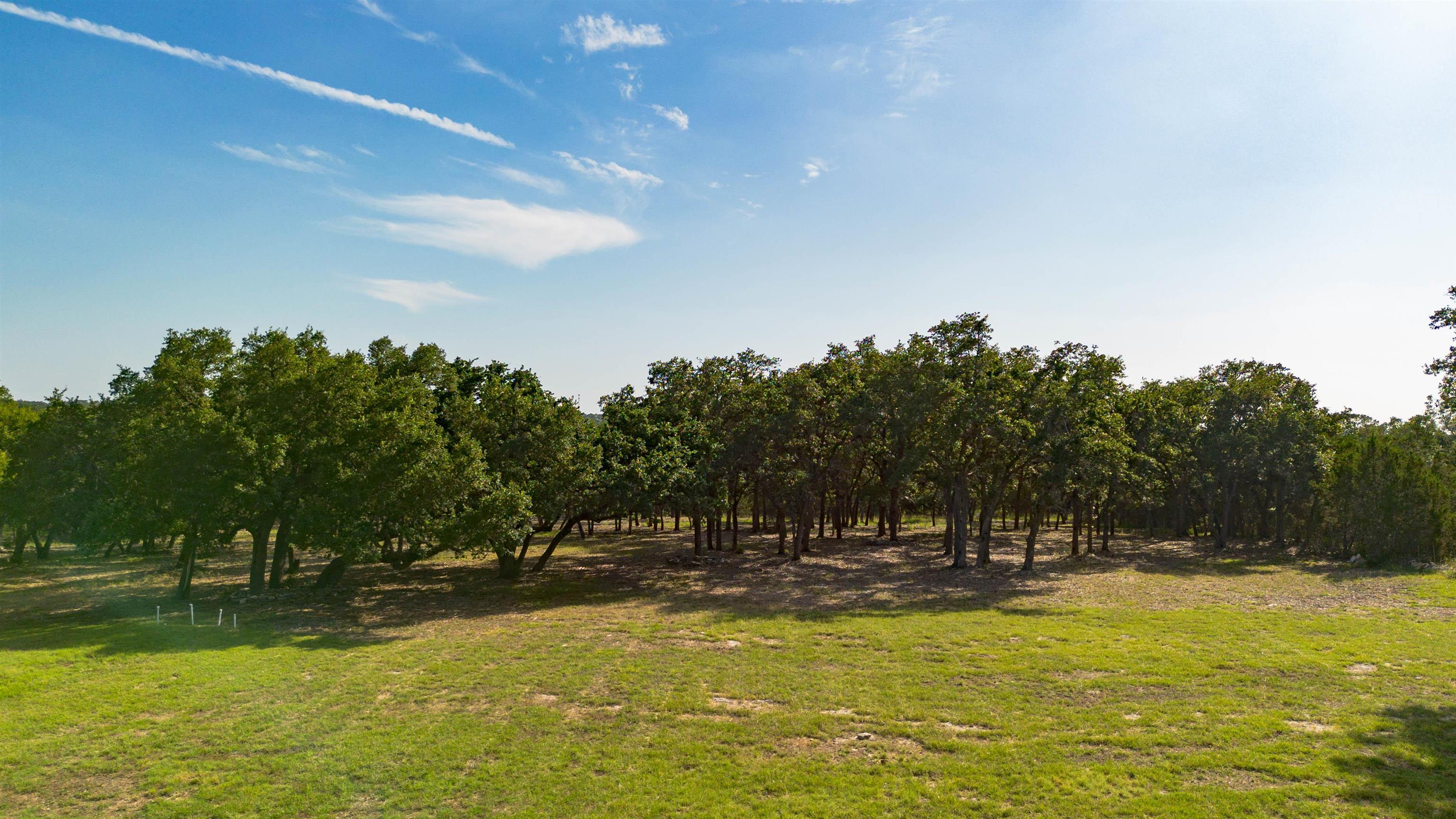 Georgetown, Texas, 78628, United States, 8 Bedrooms Bedrooms, ,8 BathroomsBathrooms,Residential,Active,1849530