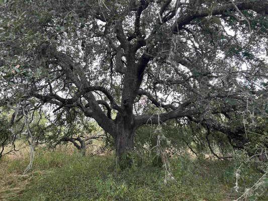 00 FIREDANCE, HORSESHOE BAY, TX 78657 - Image 1