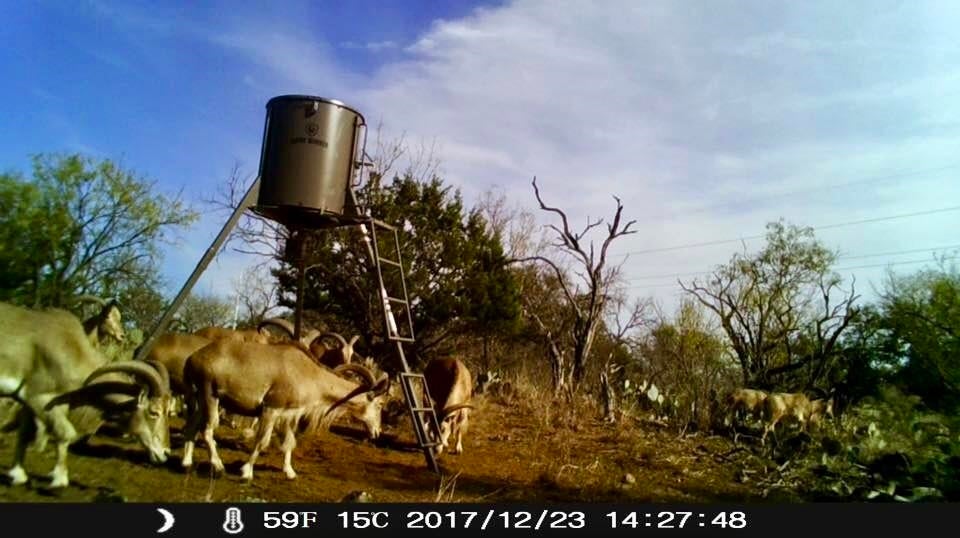 Burnet, Texas, 78611, United States, 2 Bedrooms Bedrooms, ,3 BathroomsBathrooms,Residential,Active,1989769