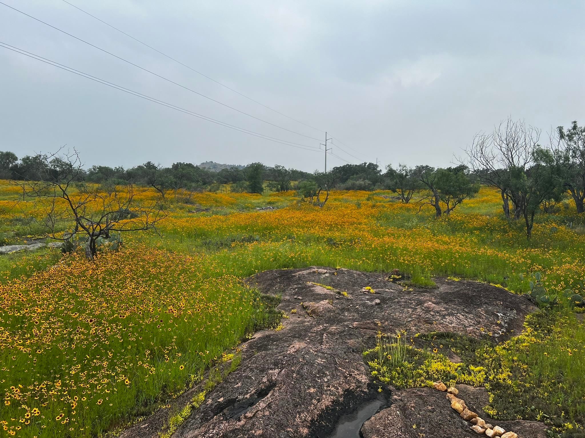 Burnet, Texas, 78611, United States, 2 Bedrooms Bedrooms, ,3 BathroomsBathrooms,Residential,Active,1989769