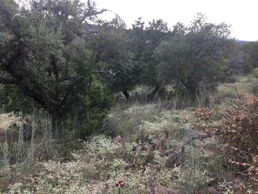 LOT 41131 DALTON CIRCLE, HORSESHOE BAY, TX 78657 - Image 1