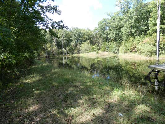 6133 DOGWOOD LN, WILLIAMSBURG, MO 63388 - Image 1