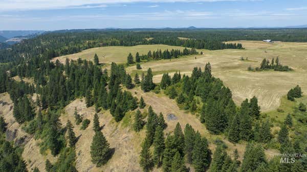 1605 JASMINE LN, PARCELS 16 & 17, WEIPPE, ID 83553 - Image 1