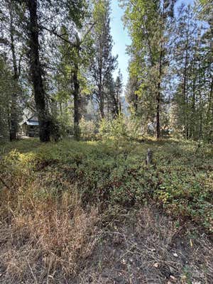 TBD E MIDDLE CT, PINE, ID 83647 - Image 1