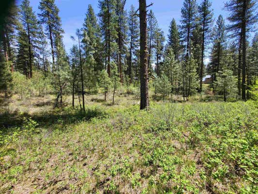 11 REINHART RD LOT 17, IDAHO CITY, ID 83631 - Image 1