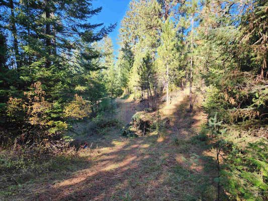 TBD GRANGEVILLE-SALMON ROAD, GRANGEVILLE, ID 83530 - Image 1