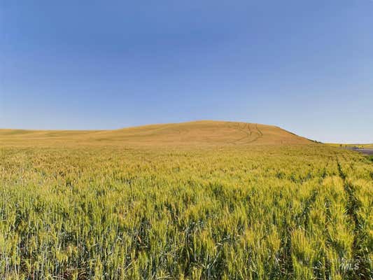 TBD HWY 95, GENESEE, ID 83832 - Image 1