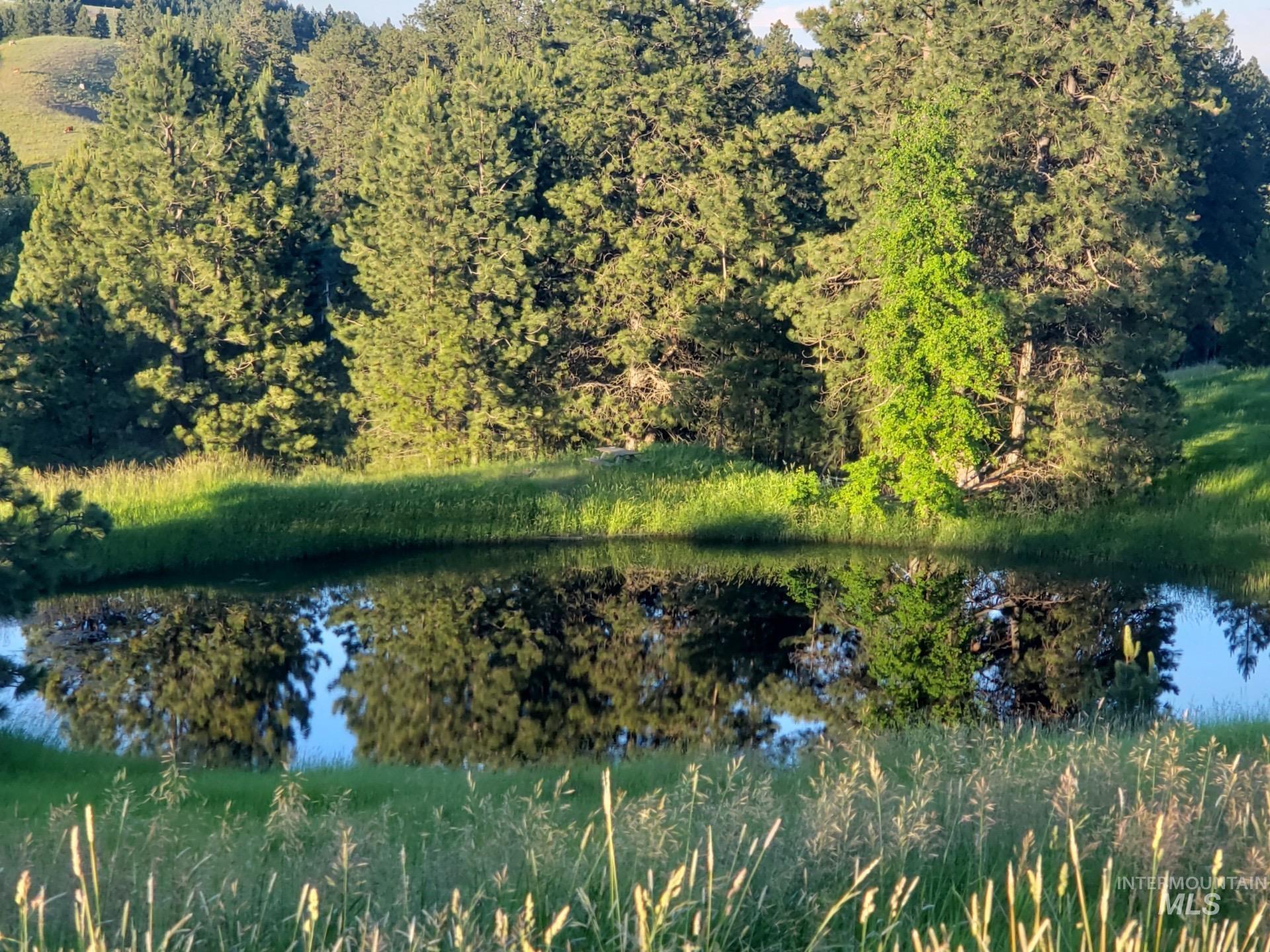 Moscow, Idaho, 83843, United States, 7 Bedrooms Bedrooms, ,3 BathroomsBathrooms,Residential,Active,1963394