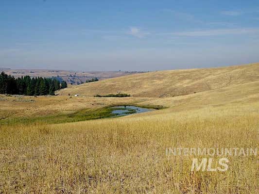 TBD DITCH CREEK ROAD, COUNCIL, ID 83612, photo 2 of 11