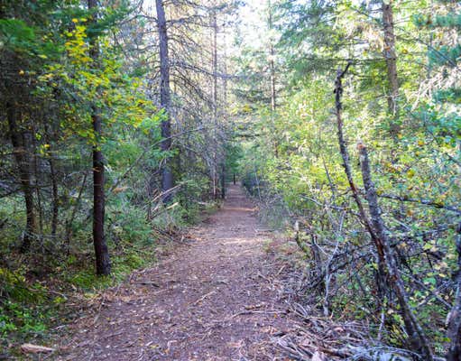 NNA 10.91AC FRENCH GULCH, PINEHURST, ID 83839, photo 2 of 34