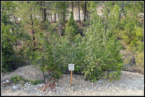 LOT 58 MORES CREEK DR, IDAHO CITY, ID 83631 - Image 1