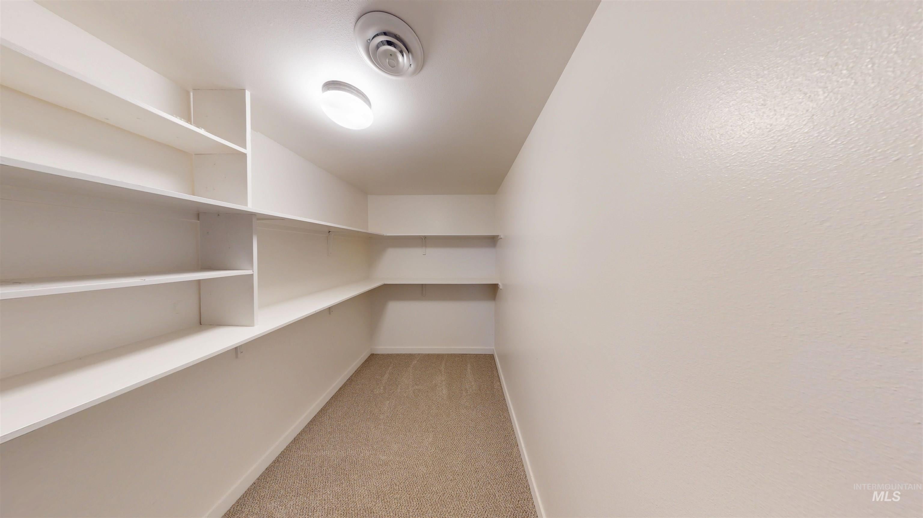 Moscow, Idaho, 83843, United States, 7 Bedrooms Bedrooms, ,3 BathroomsBathrooms,Residential,Active,1963394