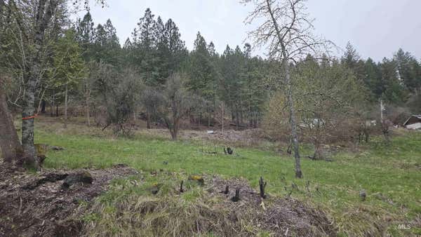 TBD PINE ST BLK 43, LOT 5, PECK, ID 83545 - Image 1