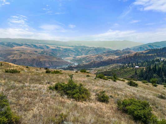 TBD BLUE GROUSE ROAD, WHITE BIRD, ID 83554 - Image 1