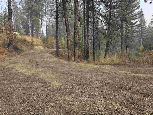 TBD LOT 53 CASTLE MOUNTAIN DR, GARDEN VALLEY, ID 83622 - Image 1