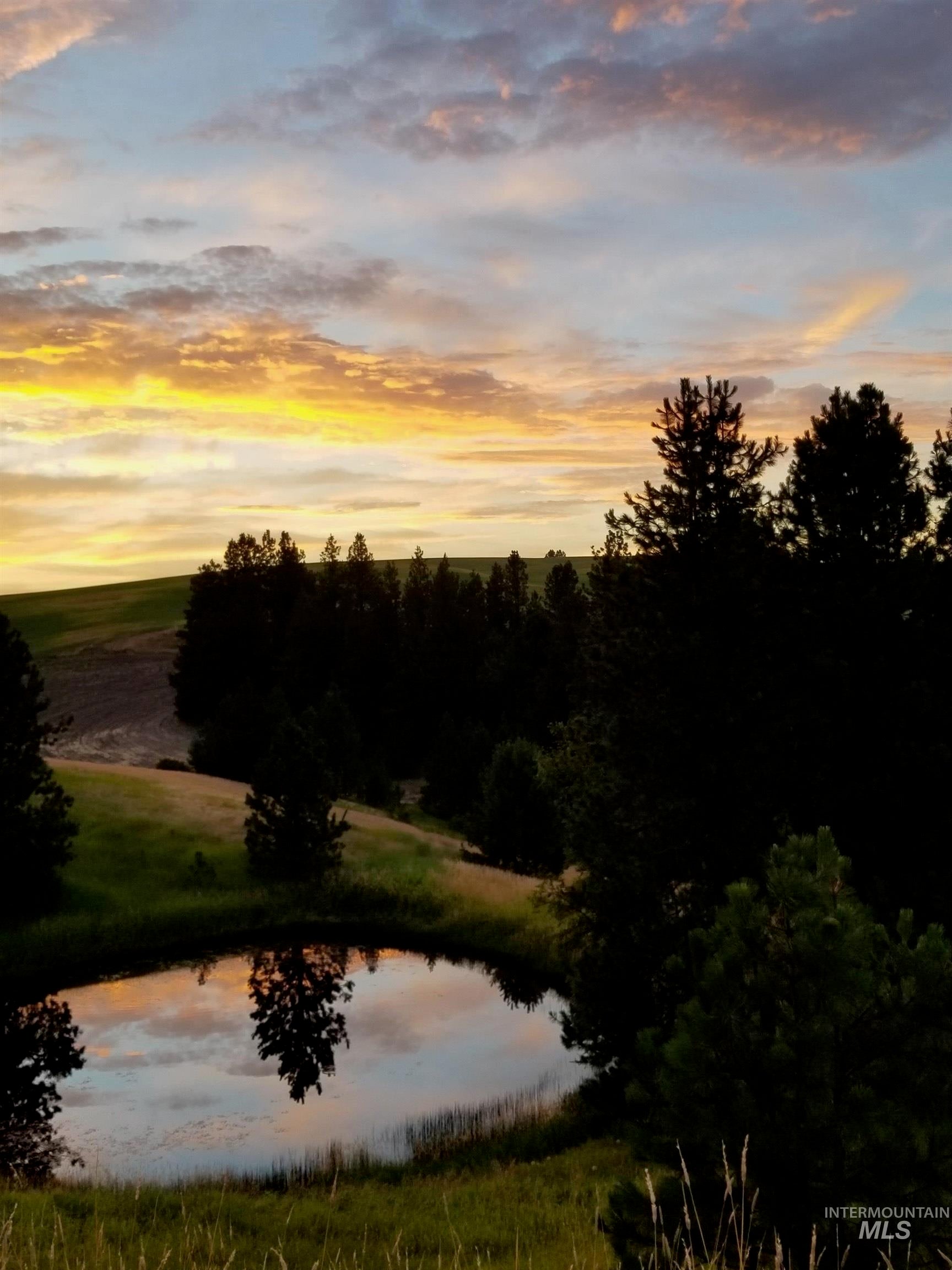 Moscow, Idaho, 83843, United States, 7 Bedrooms Bedrooms, ,3 BathroomsBathrooms,Residential,Active,1963394