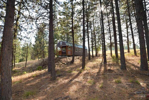 5 ACRES CLOVERLAND, ASOTIN, WA 99402 - Image 1