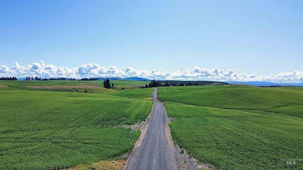 TBD BASKET RD, NEZPERCE, ID 83543 - Image 1