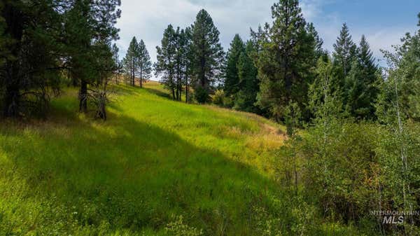 TBD PARKINS ROAD, MOSCOW, ID 83843 - Image 1