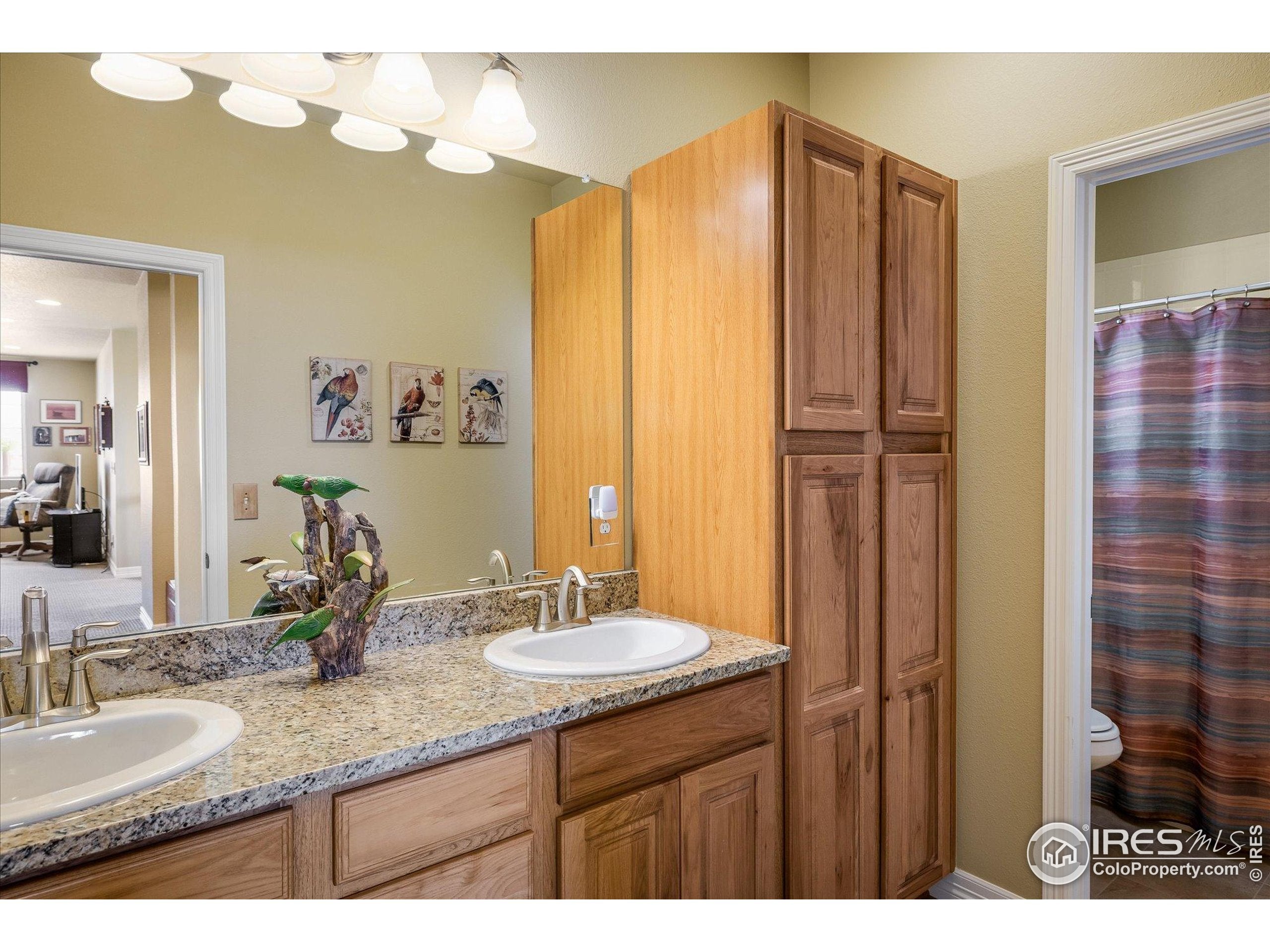 Erie, Colorado, 80516, United States, 4 Bedrooms Bedrooms, ,4 BathroomsBathrooms,Residential,Active,1909665