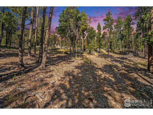 231 GRANITE DR, DRAKE, CO 80515 - Image 1