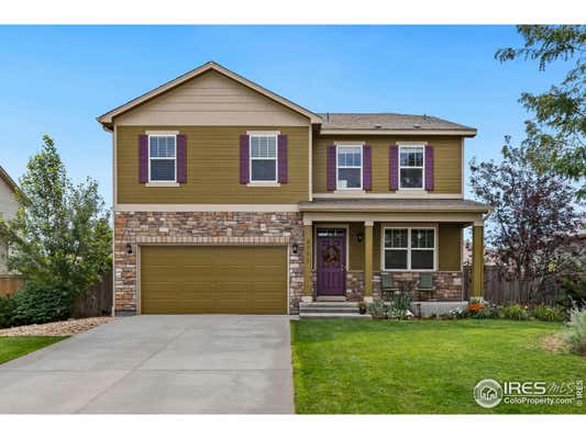 3771 DAYLILY ST, WELLINGTON, CO 80549 - Image 1