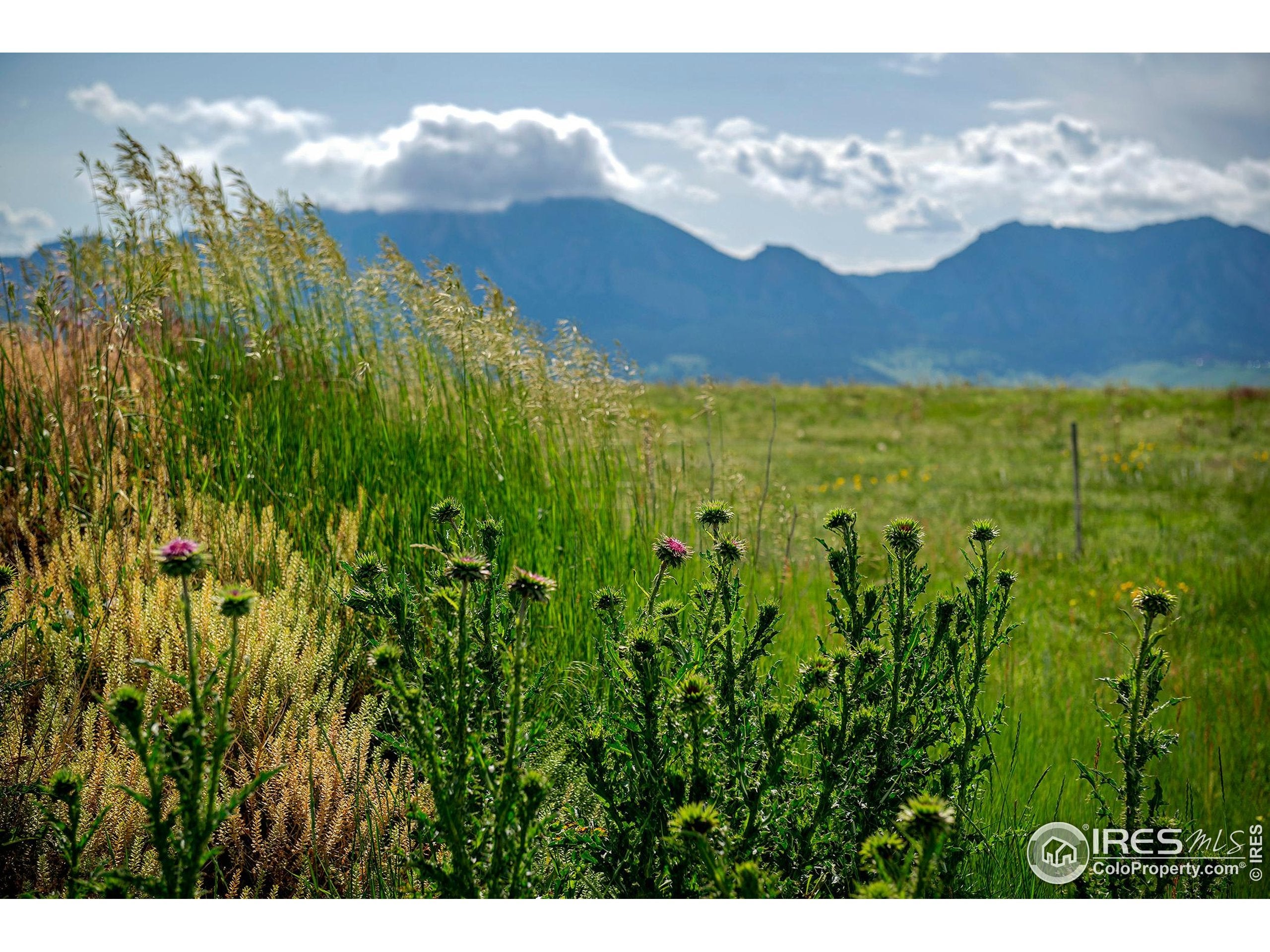 Boulder, Colorado, 80303, United States, ,Residential,Active,1997568