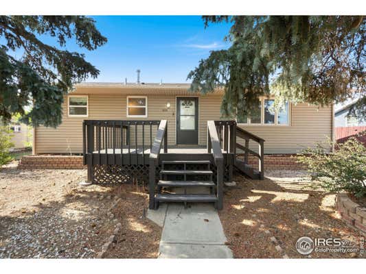 3725 WILSON AVE, WELLINGTON, CO 80549 - Image 1