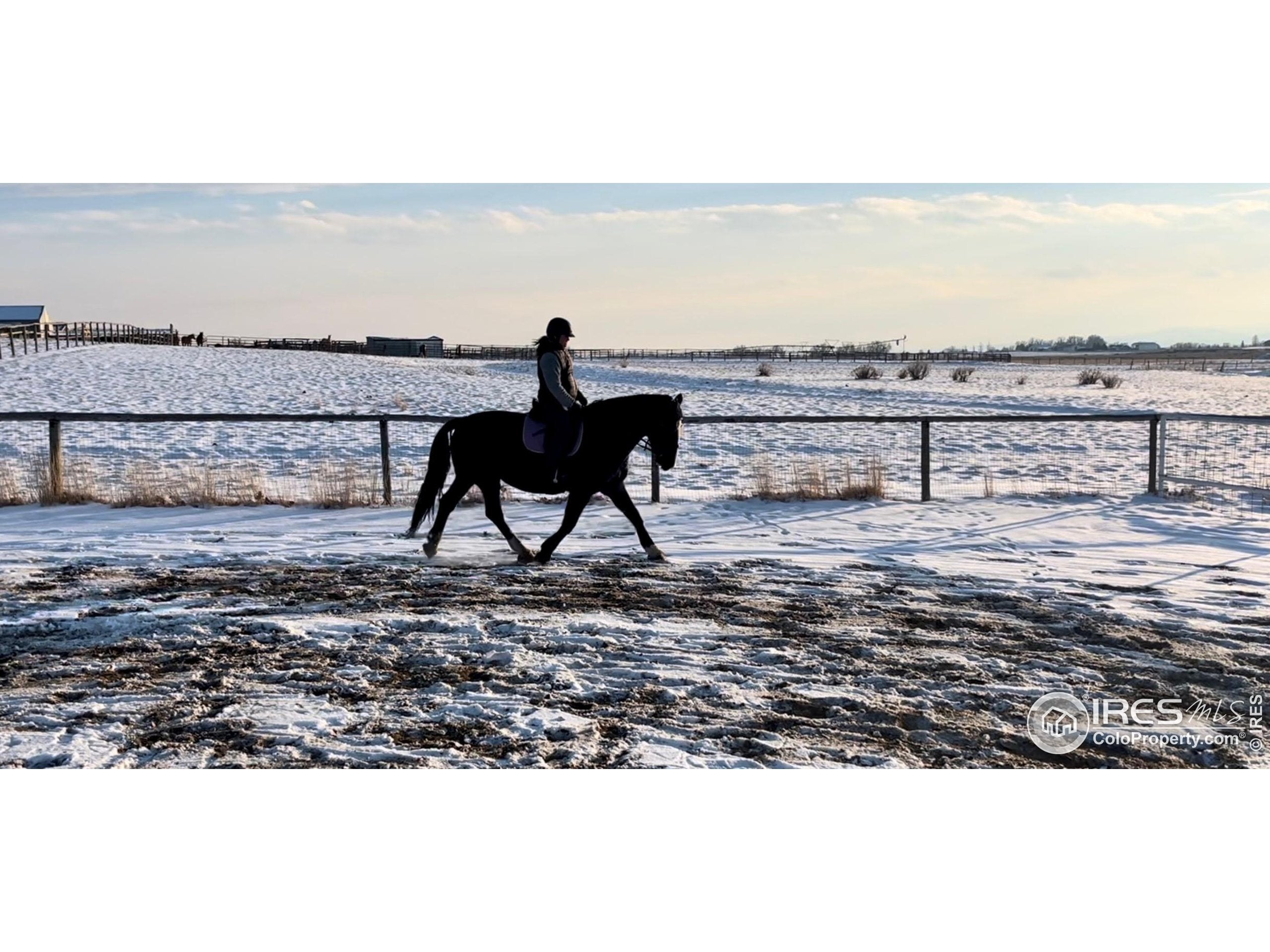 Wellington, Colorado, 80549, United States, 5 Bedrooms Bedrooms, ,4 BathroomsBathrooms,Residential,Active,1954368