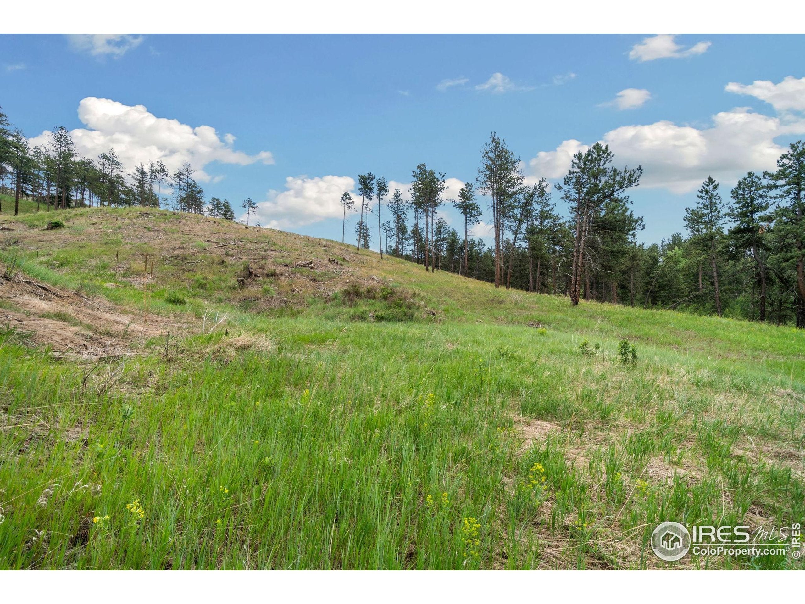 Bellvue, Colorado, 80512, United States, ,4 BathroomsBathrooms,Residential,Active,1849207
