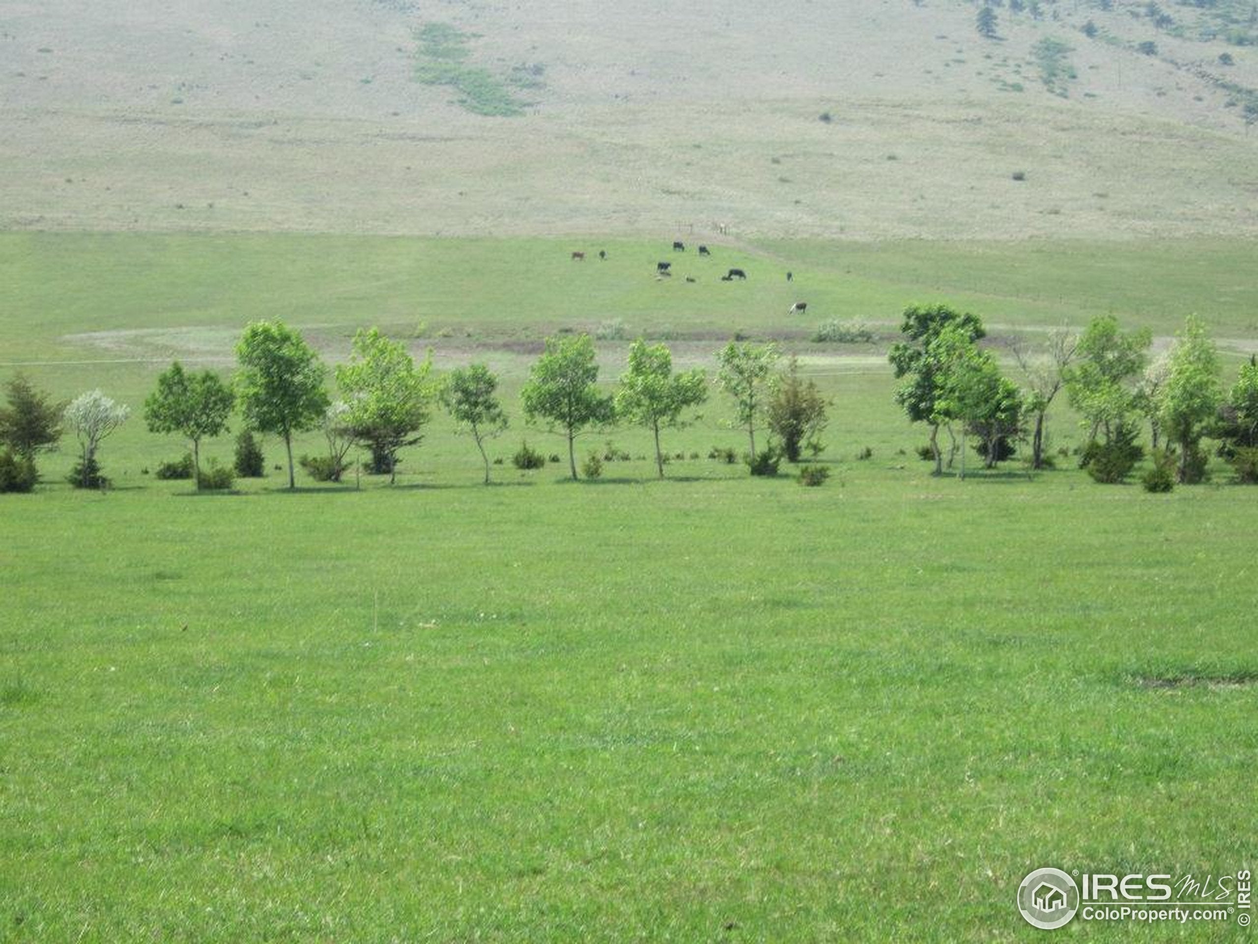 Berthoud, Colorado, 80513, United States, 5 Bedrooms Bedrooms, ,4 BathroomsBathrooms,Residential,Active,1914590