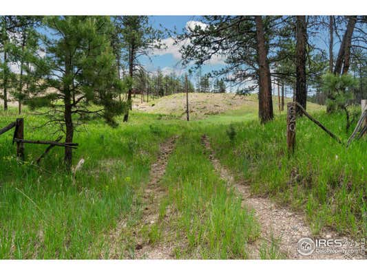 620 DAVIS RANCH RD, BELLVUE, CO 80512 - Image 1